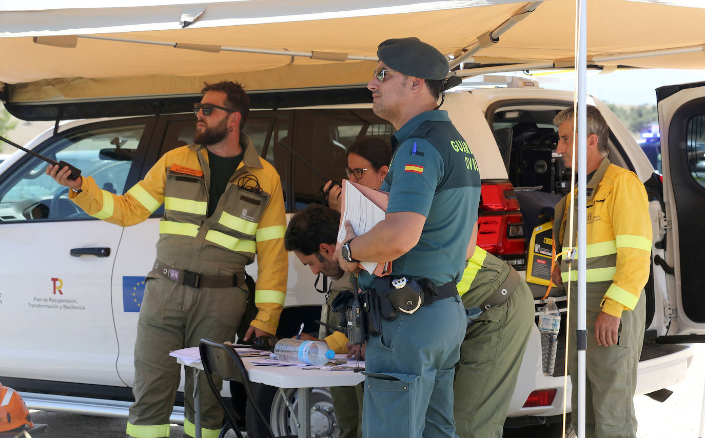 Fotografías del incendio en un pinar de La Higuera