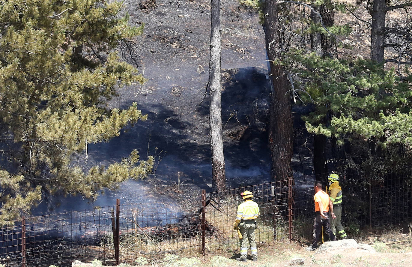 Fotografías del incendio en un pinar de La Higuera