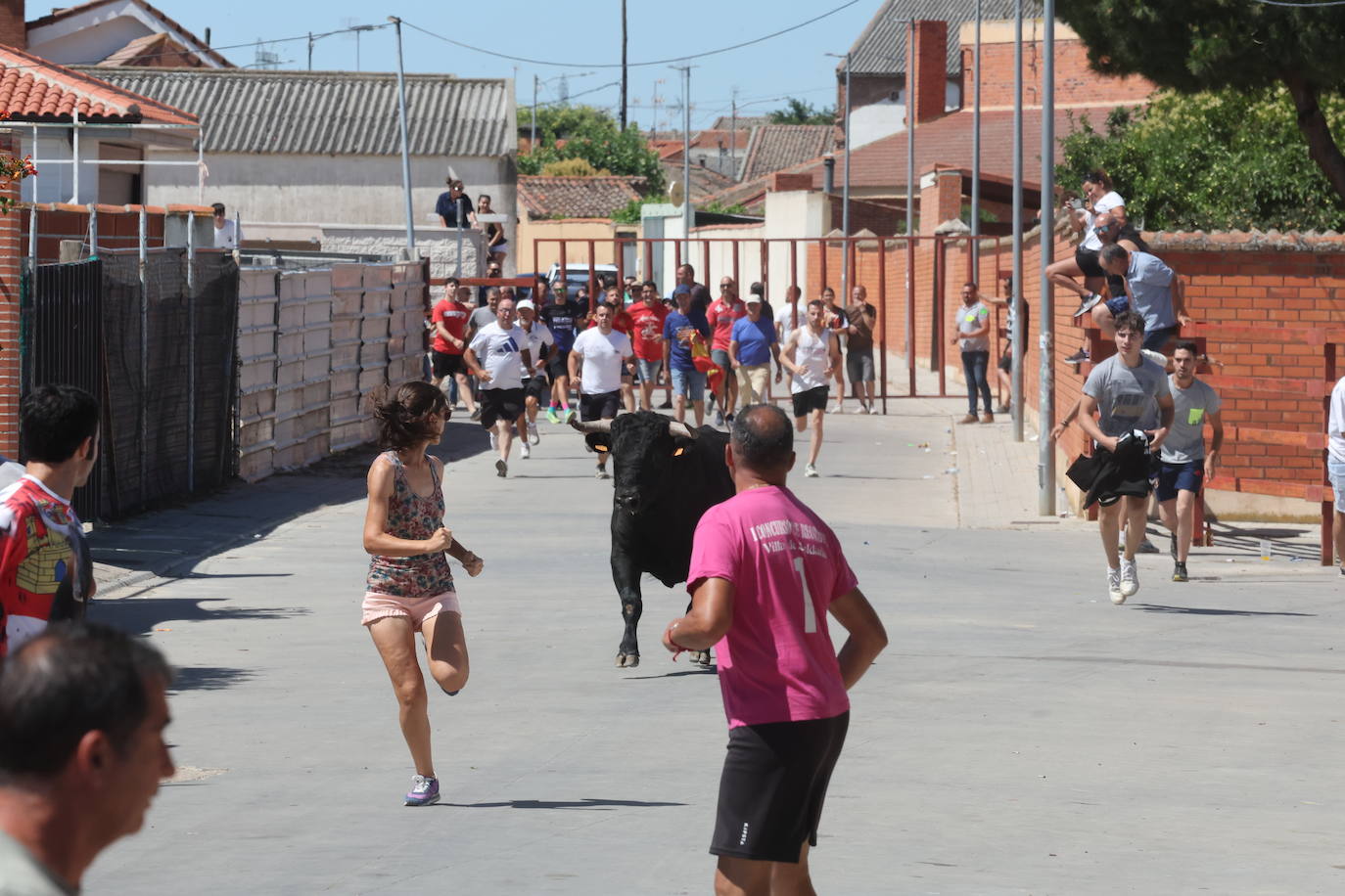 El segundo encierro de las fiestas de Matapozuelos, en imágenes