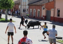 Imágenes del segundo encierro de las fiestas de Matapozuelos 2024