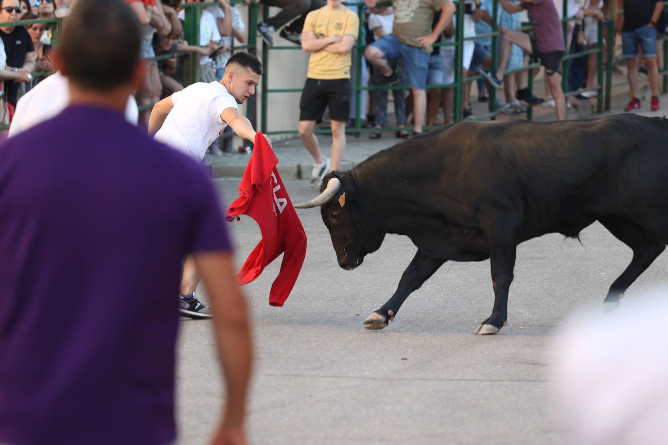 El sexto encierro de las fiestas de Santa Marina en Cigales, en imágenes