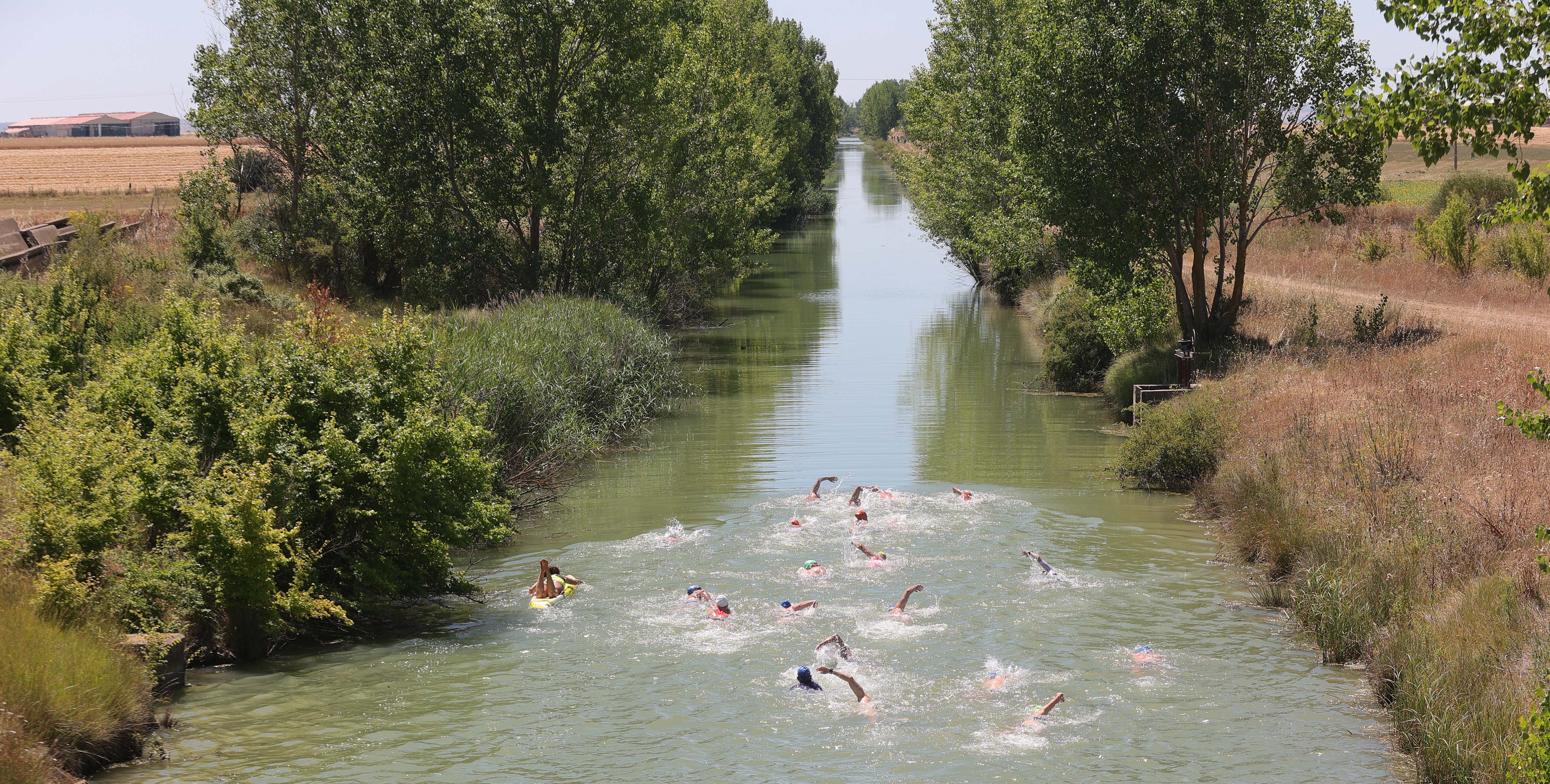 VI Travesía a nado Canal de Castilla en Paredes de Nava