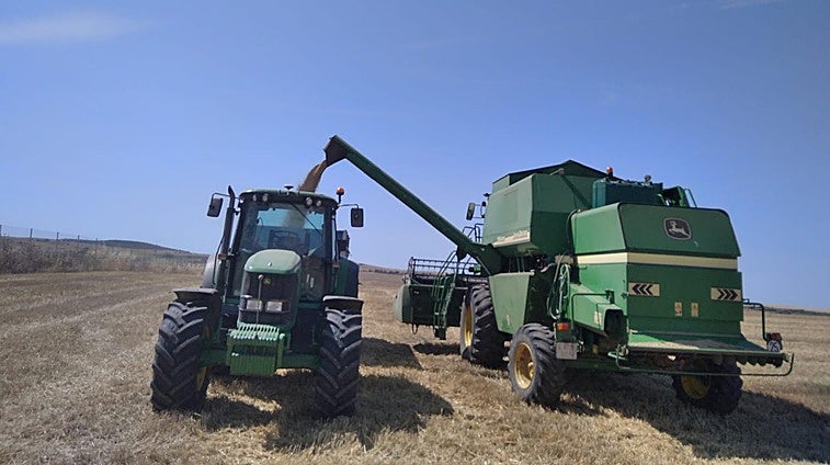 El tiempo esta semana: altas temperaturas que obligan a extremar precauciones en el campo