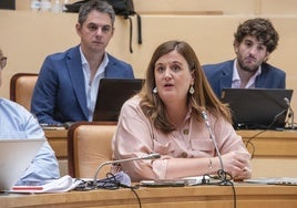 La portavoz del PSOE en el Ayuntamiento, Clara Martín, interviene en un pleno.