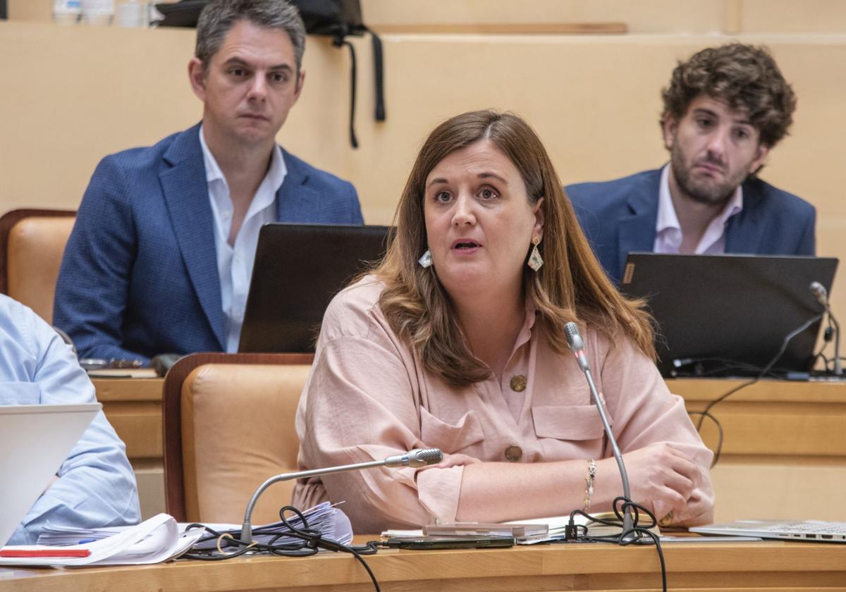 La portavoz del PSOE en el Ayuntamiento, Clara Martín, interviene en un pleno.