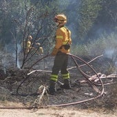 Sofocado un incendio de monte bajo en La Granja