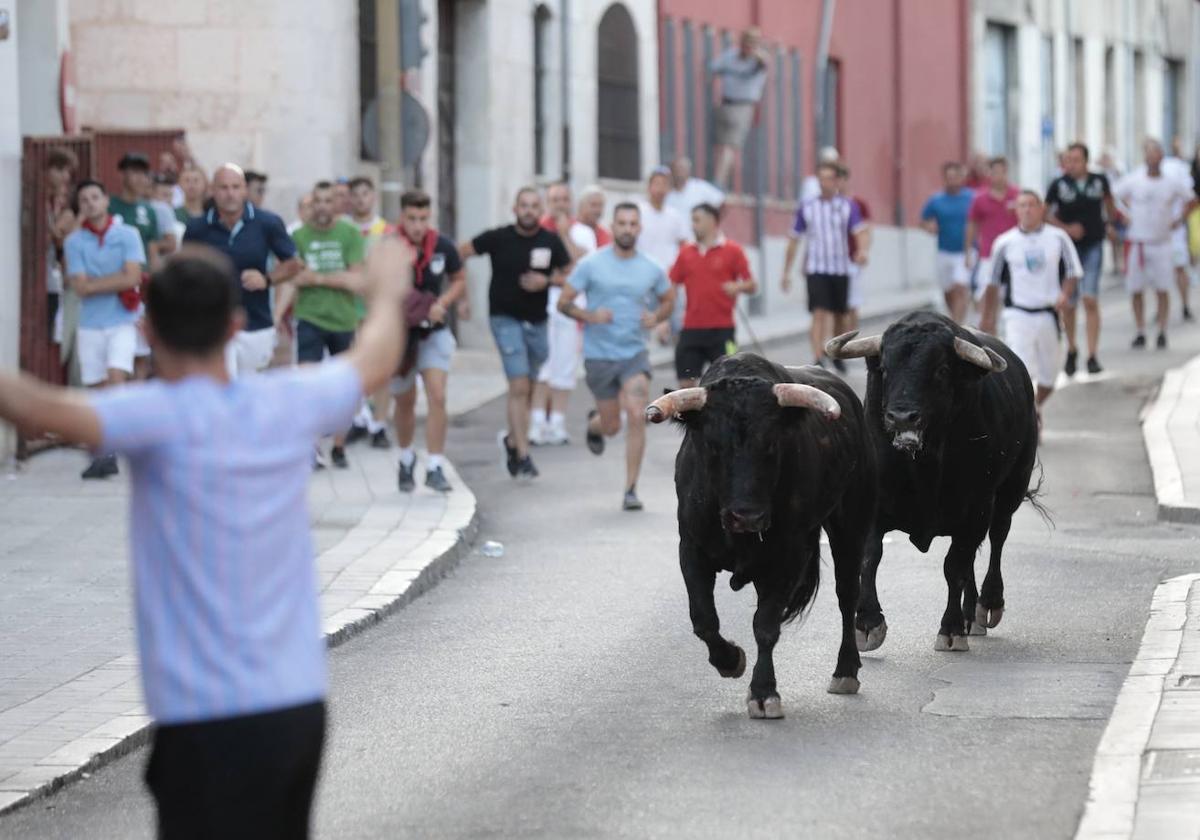 Encierro por las calles de Tudela, en las pasadas fiestas de agosto.