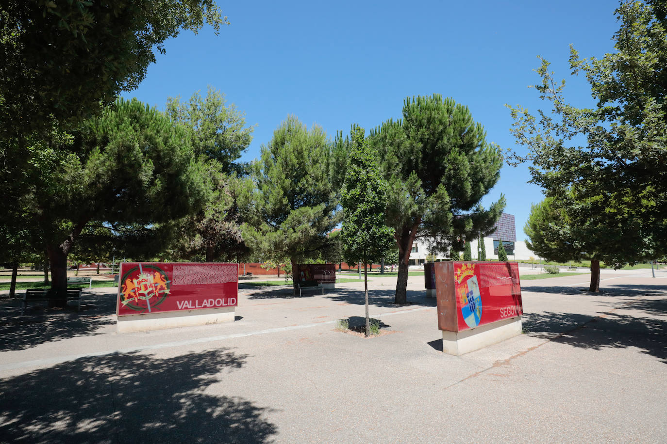 La avenida del Real Valladolid, en imágenes