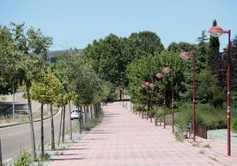 Imagen de la avenida del Real Valladolid