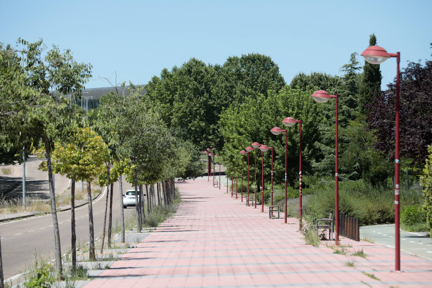 La avenida del Real Valladolid, en imágenes