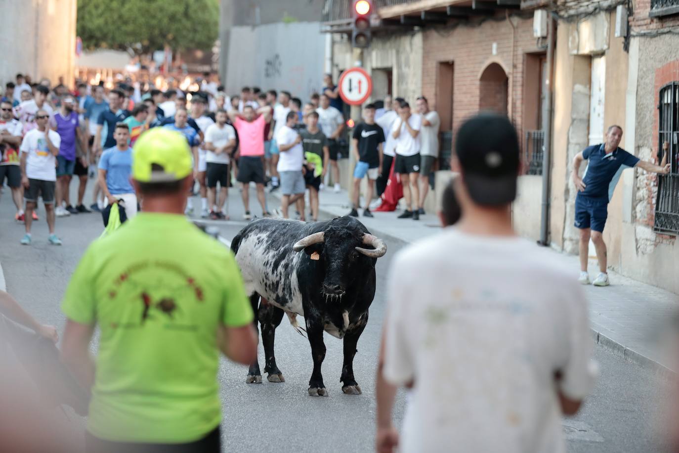 El Toro del Fogato en Tudela, en imágenes