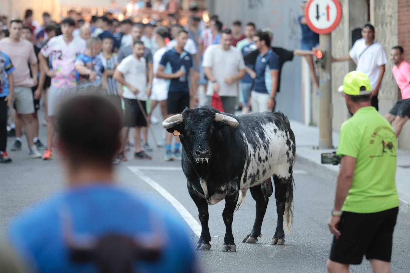 El Toro del Fogato en Tudela, en imágenes