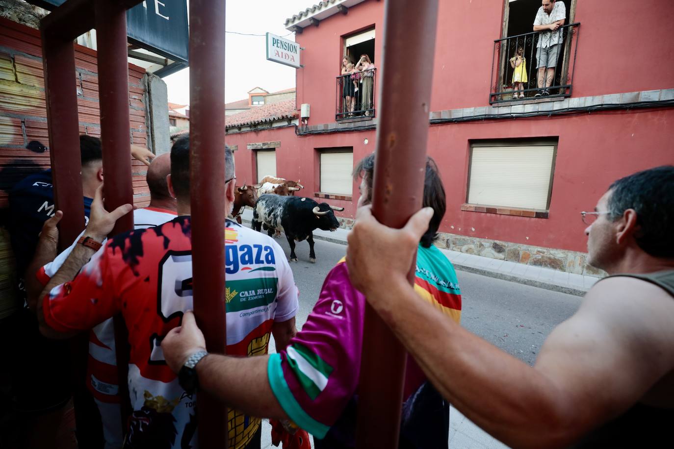 El Toro del Fogato en Tudela, en imágenes