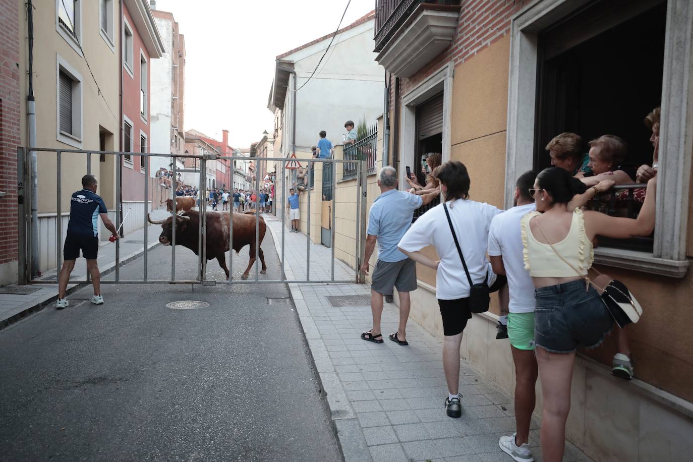 El Toro del Fogato en Tudela, en imágenes