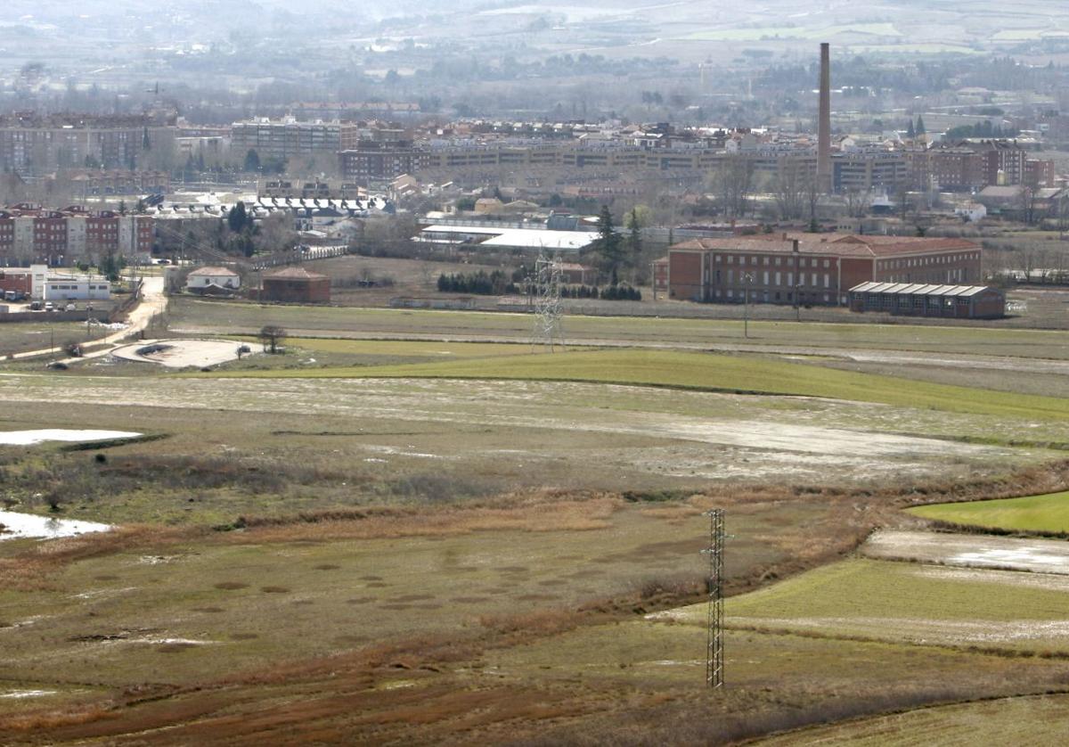 Terrenos donde se prevé el futuro polígono industrial.