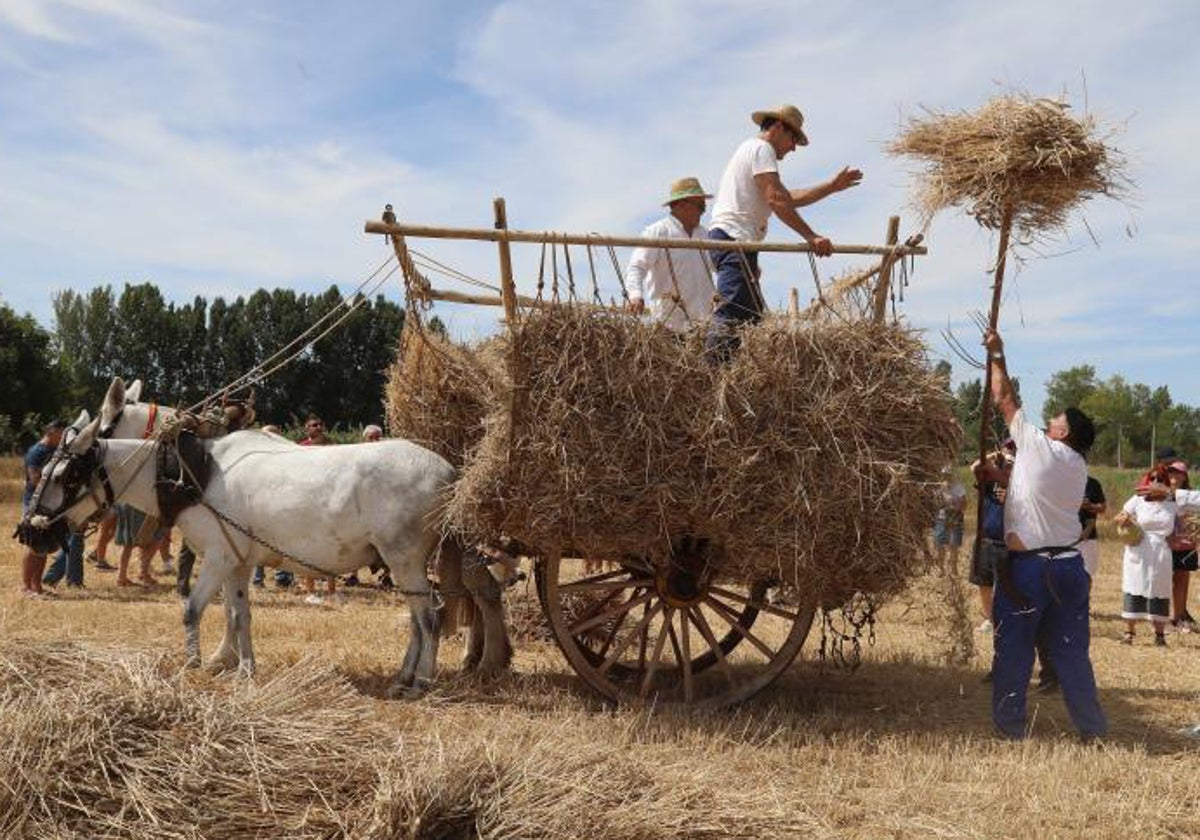 Actividades de la Fiesta de la Trilla pasada.