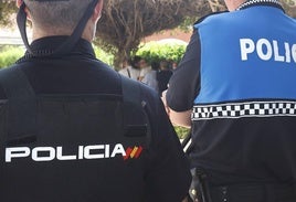 Denuncia que dos ladrones que estaban en su casa le dan una paliza al llegar