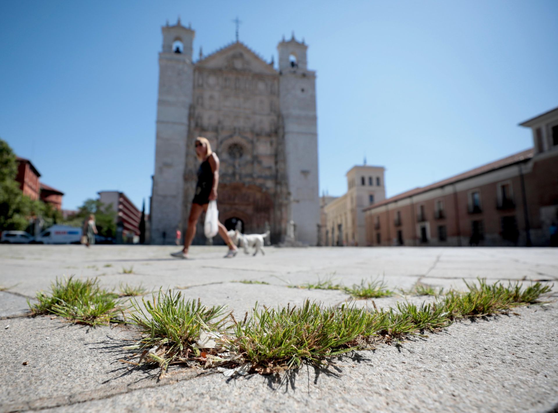 Plaza de San Pablo, con las hierbas asomando por las grietas de las baldosas de granito.