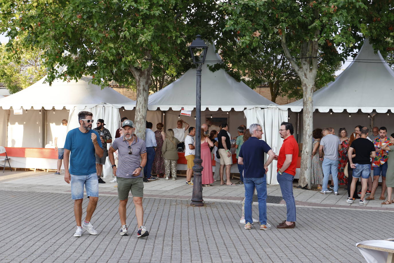 El Camino de Santiago dedica en Frómista un festival al vino