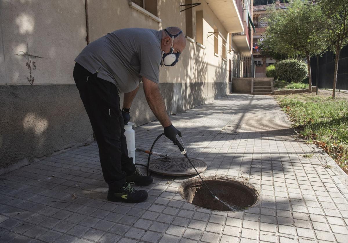 Roberto Íñigo realiza tareas de fumigación en una calle del barrio de San Millán, en Segovia capital.