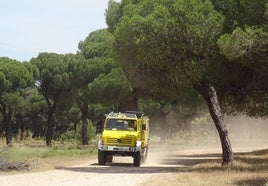 Efectivos forestales en el Pinar de Antequera, en Valladolid.