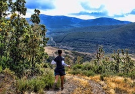 Un corredor en una prueba de montaña por la provincia de Palencia.