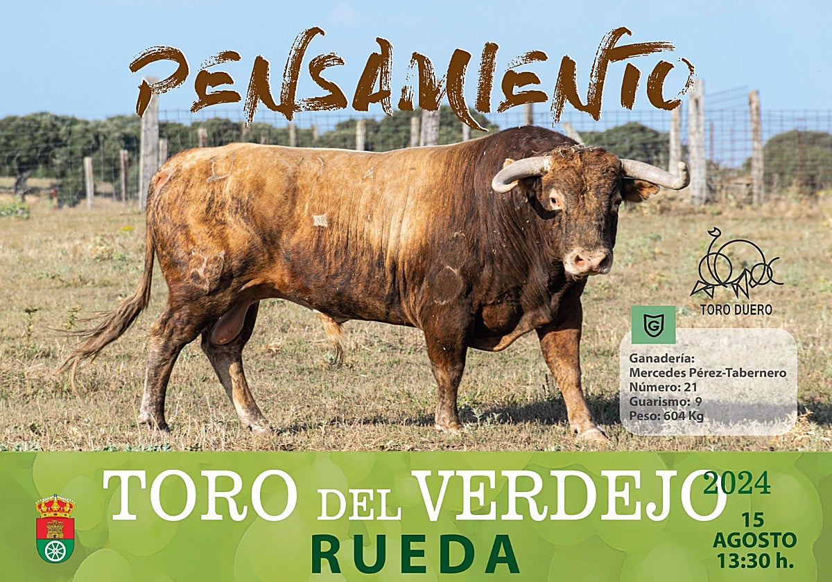 Pensamiento, Toro del Verdejo 2024