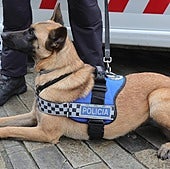 La Unidad Canina denuncia a tres jóvenes y un menor por tenencia de hachís