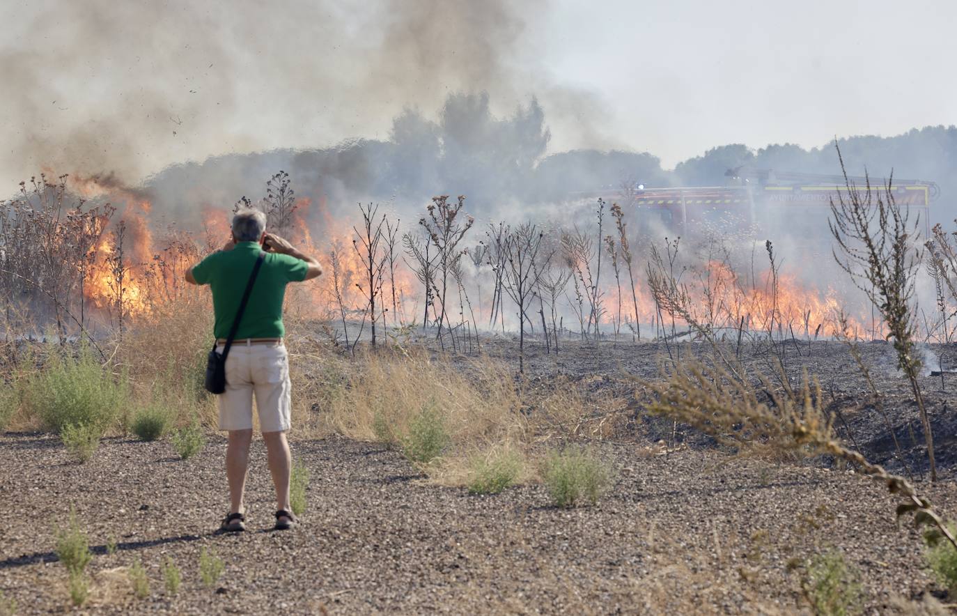 Imágenes del incendio en Pinar de Jalón