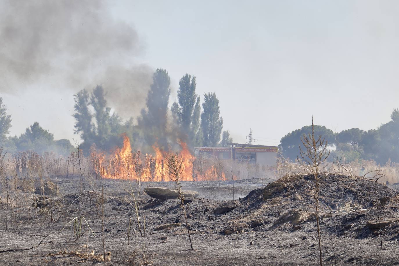 Imágenes del incendio en Pinar de Jalón