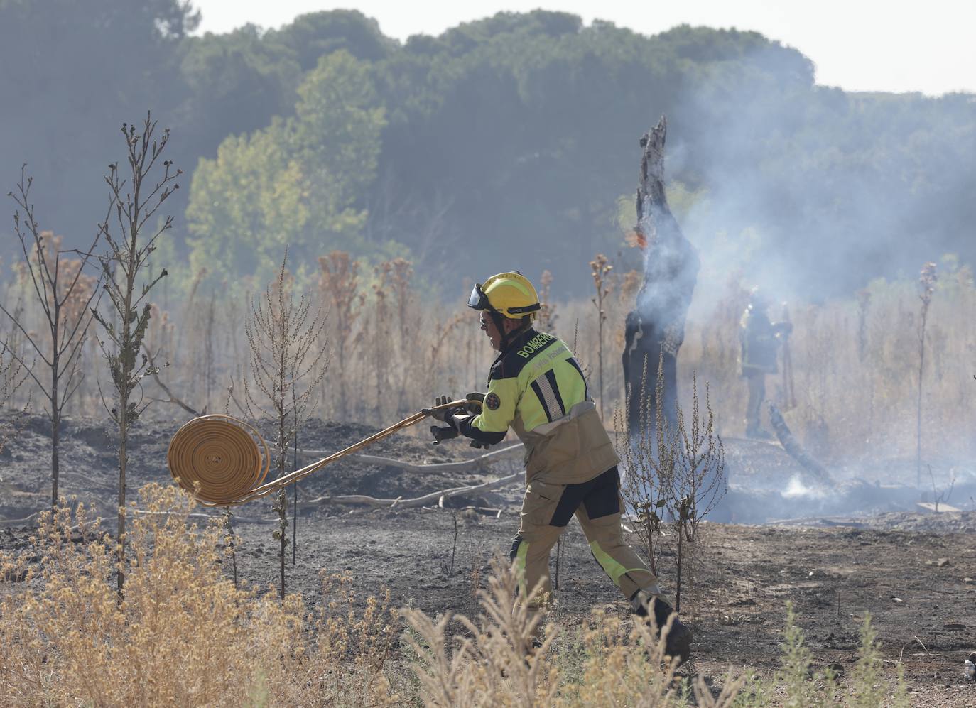 Imágenes del incendio en Pinar de Jalón