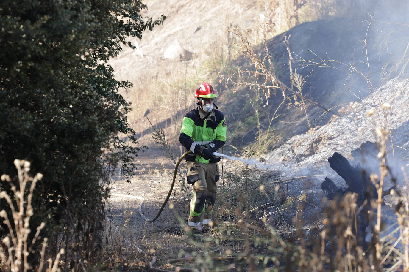 Imágenes del incendio en Pinar de Jalón