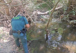 El Seprona ha inspeccionado el cauce del Eresma a su paso por Segovia ante el hallazgo de peces muertos.