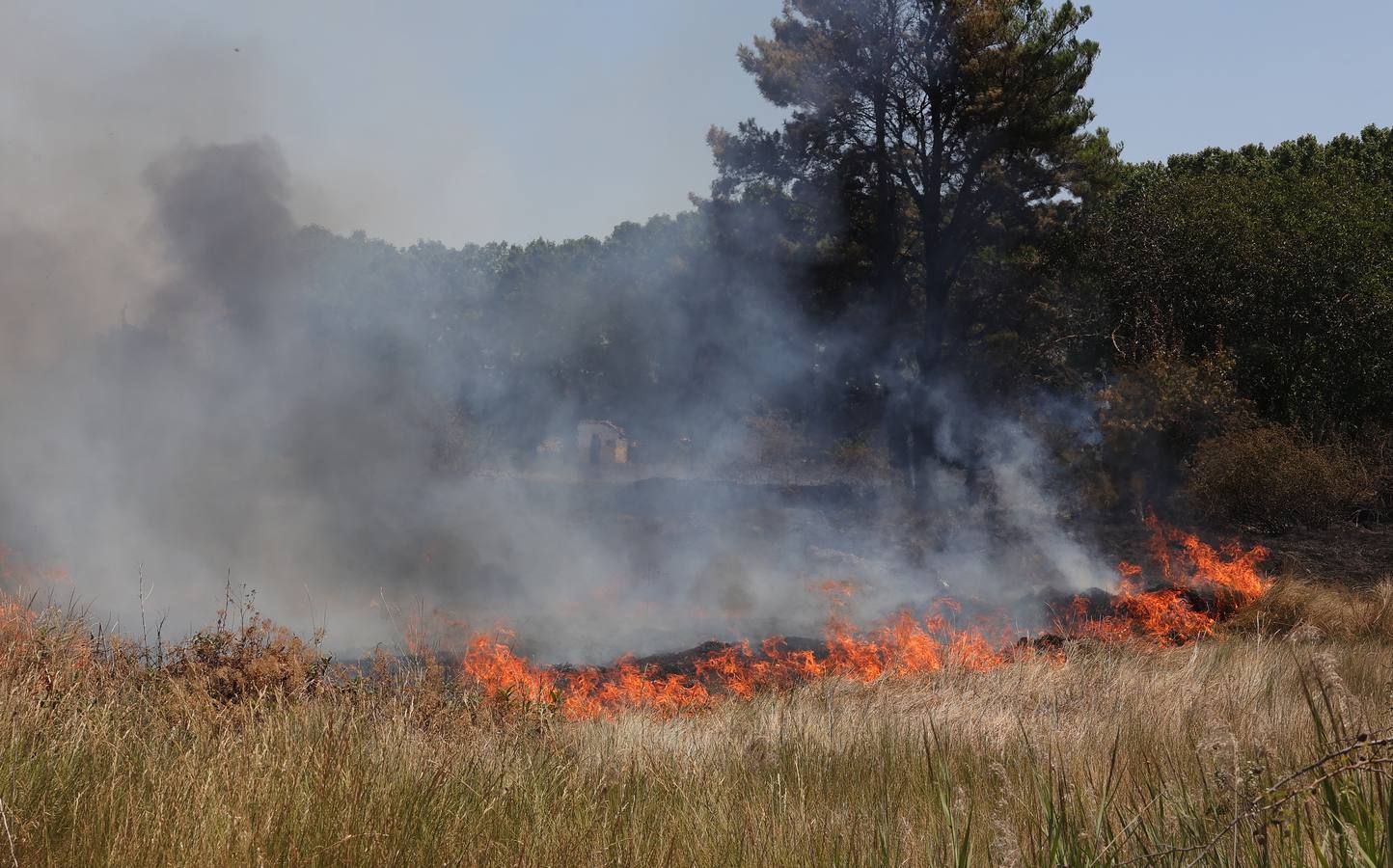 Incendio mortal en Palencia