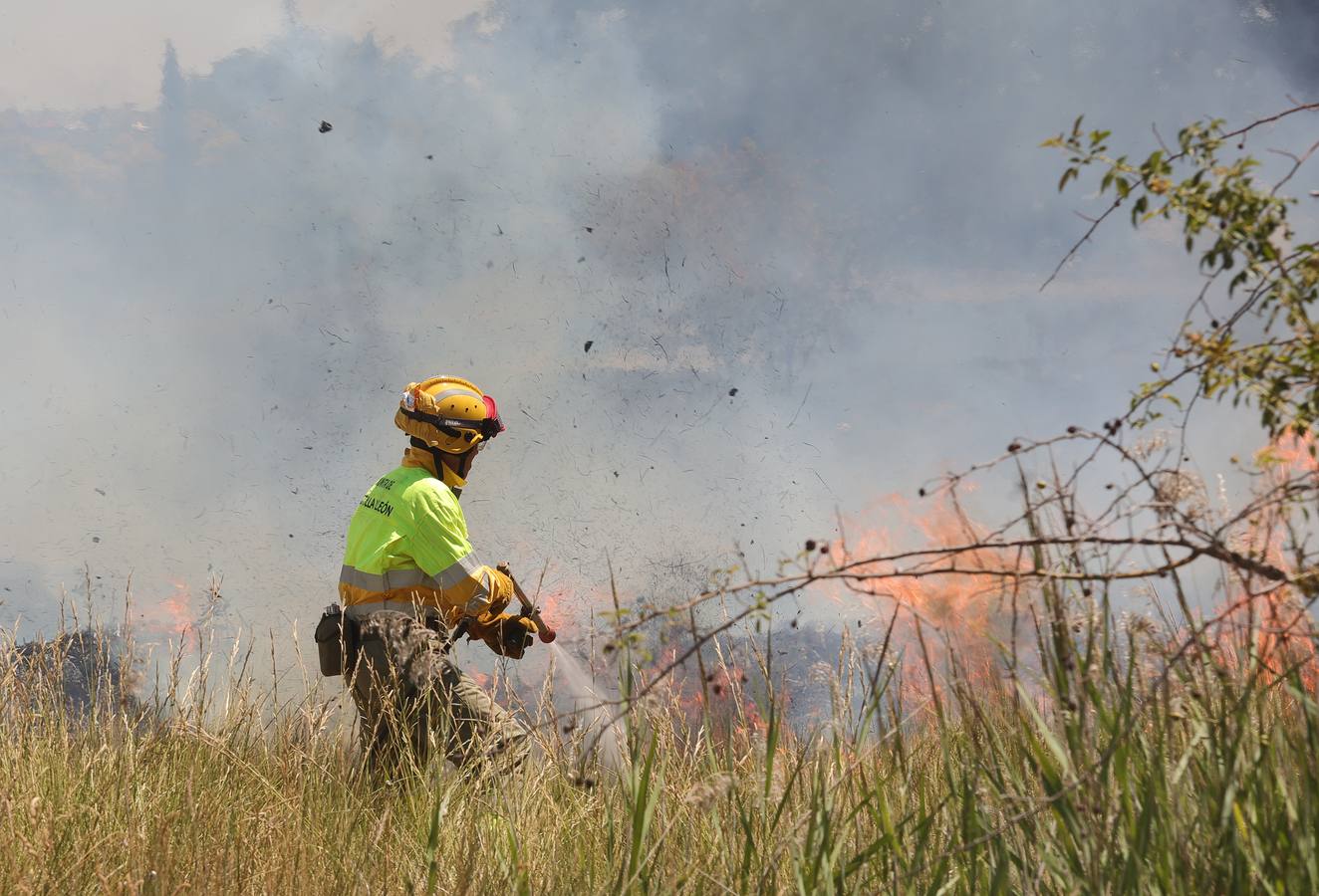 Incendio mortal en Palencia