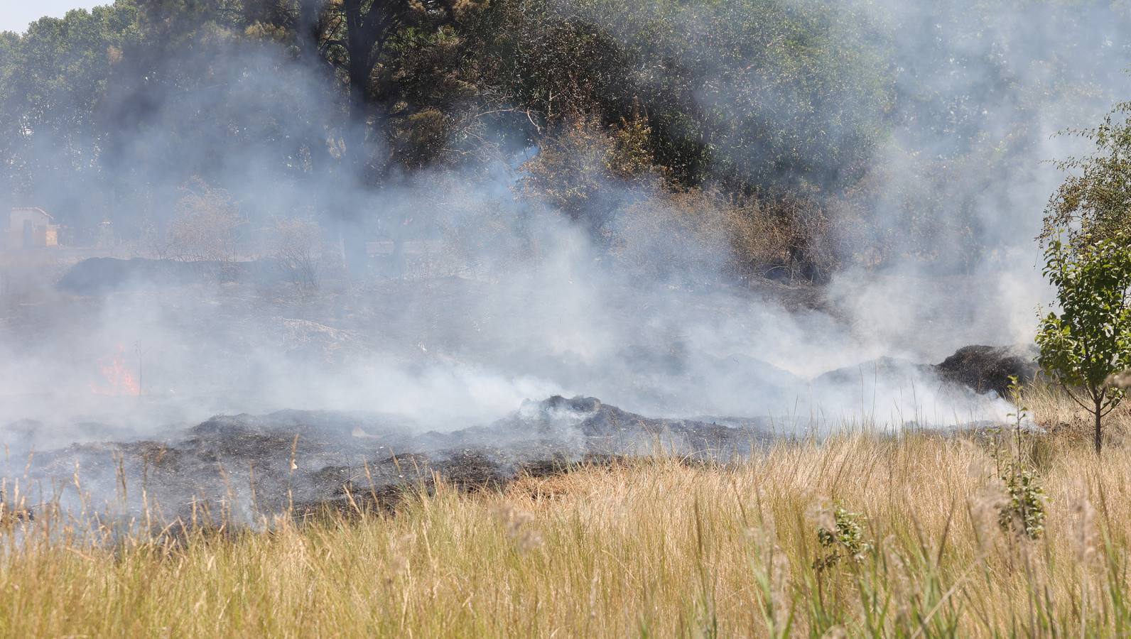 Incendio mortal en Palencia