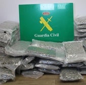 Detenido con 28 kilos de marihuana en un autobús en la A-1