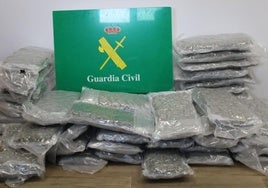 La marihuana que transportaba el detenido en dos maletas.