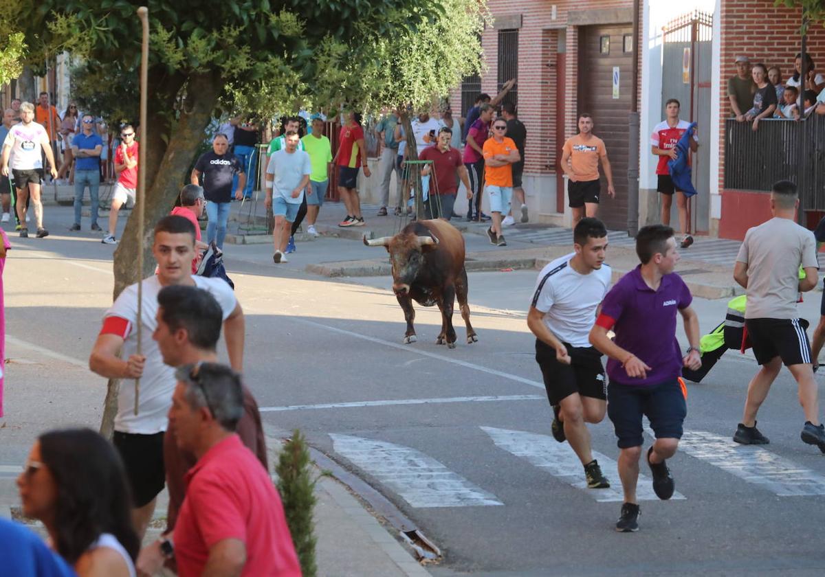 Varios corredores, en las calles de La Seca.