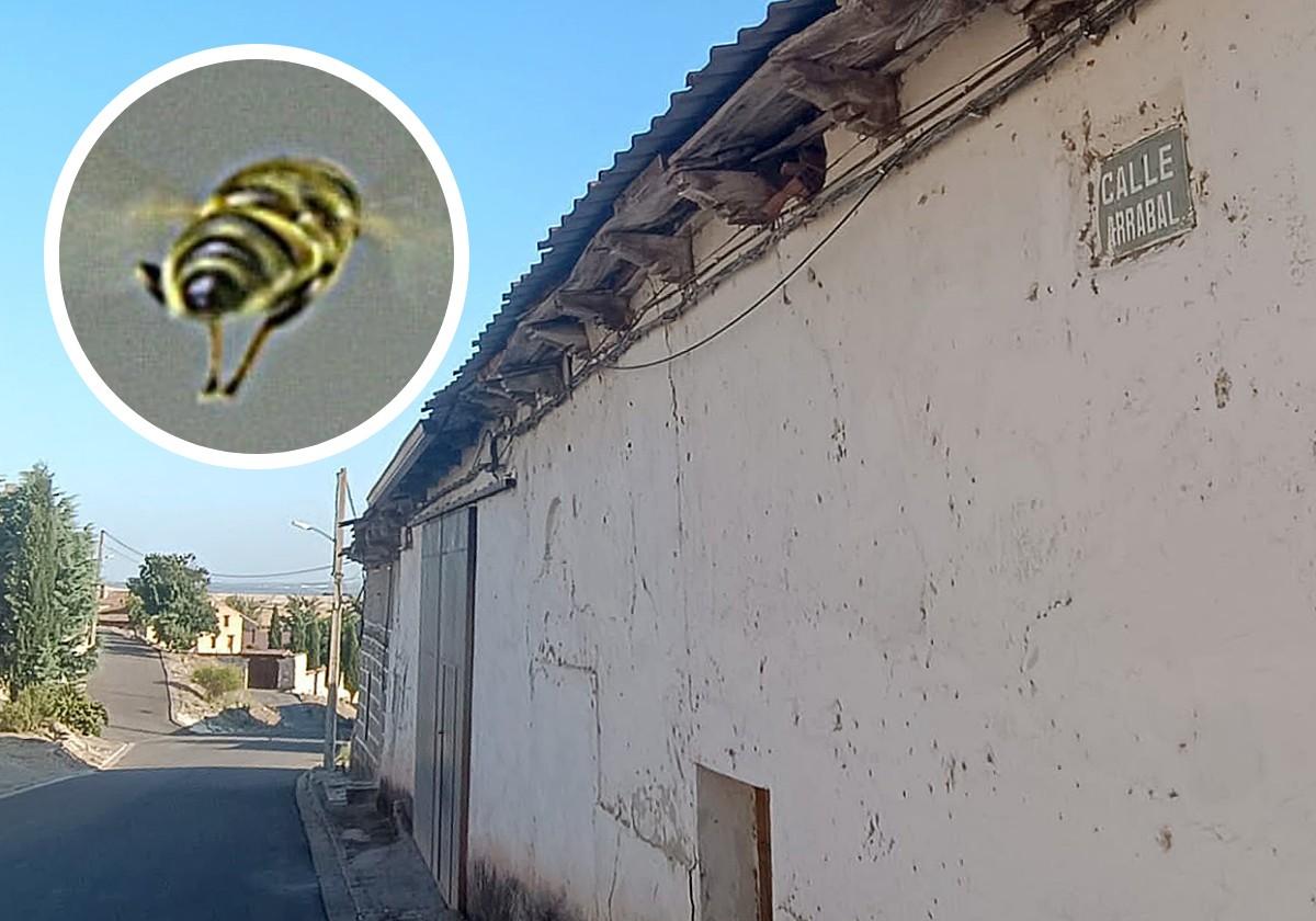 Tejadillo de la calle Arrabal de Velliza, del que retiraron uno de los enjambres.