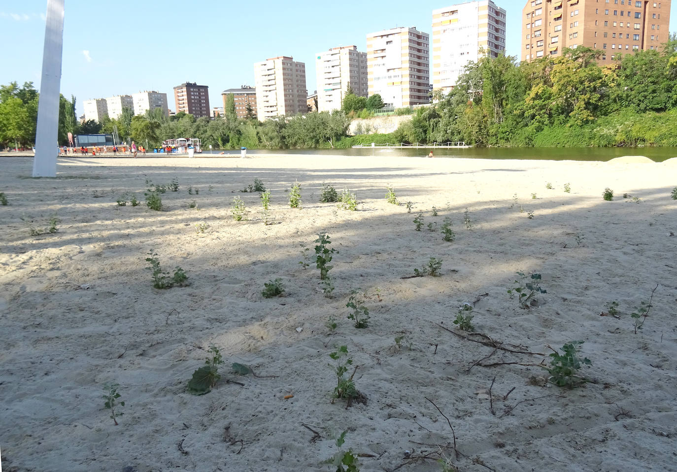 Estado de la playa de las Moreras antes del cambio de arena