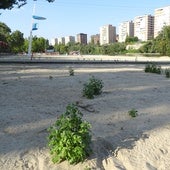 La renovación de la arena llegará dos meses tarde a una playa de Las Moreras llena de maleza y calvas