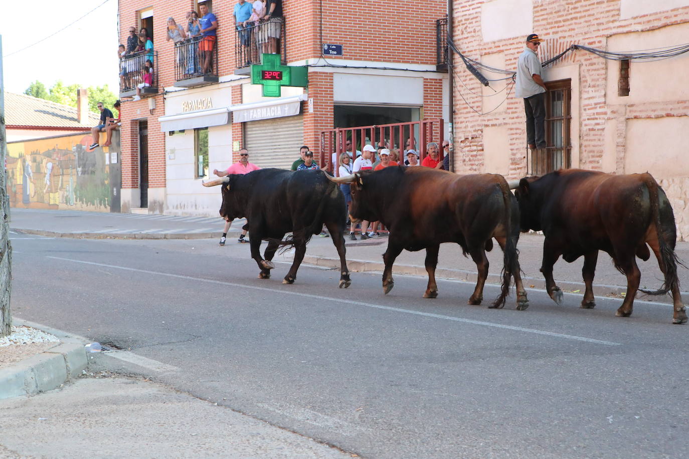 Las imágenes del segundo encierro en La Seca