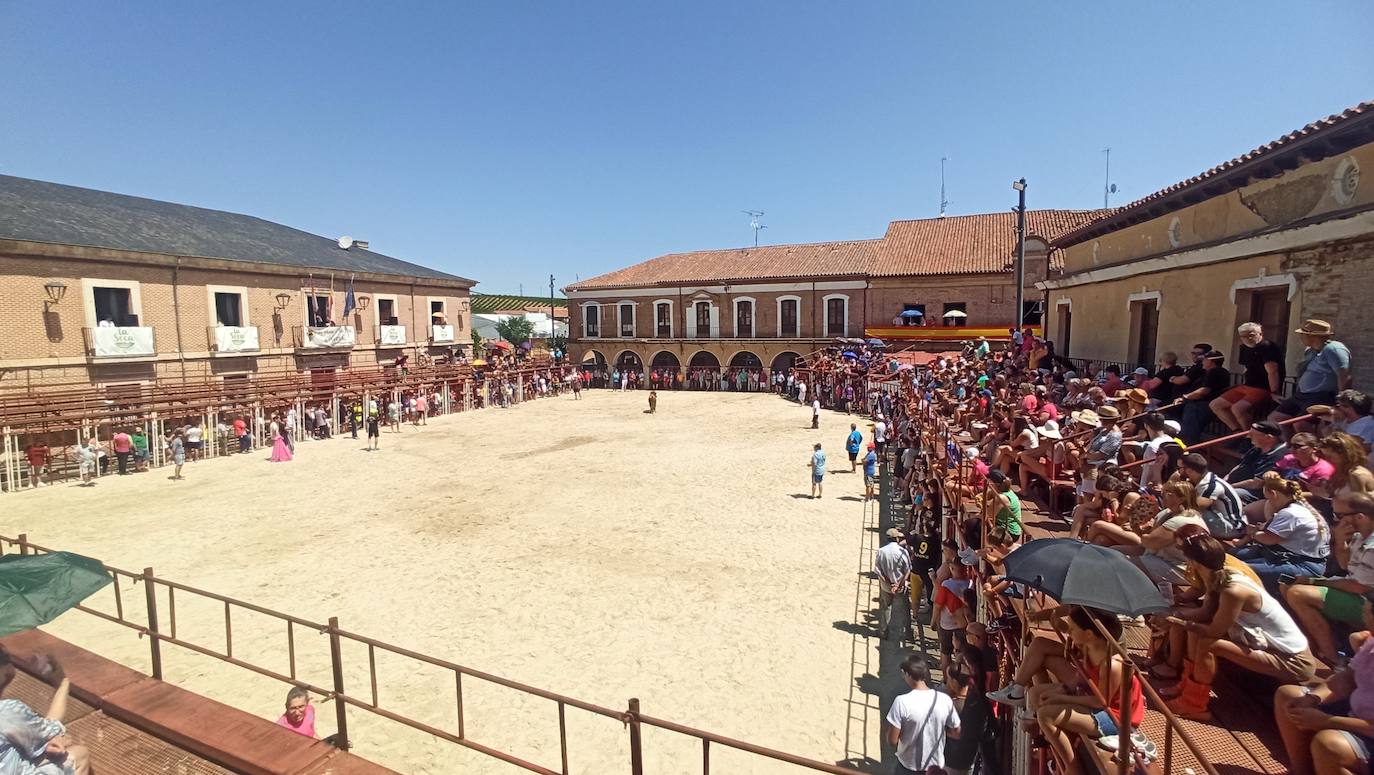 Las imágenes del toro de cajón en La Seca