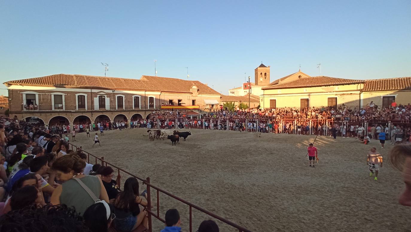 Las imágenes del encierro celebrado en La Seca este domingo, 4 de agosto