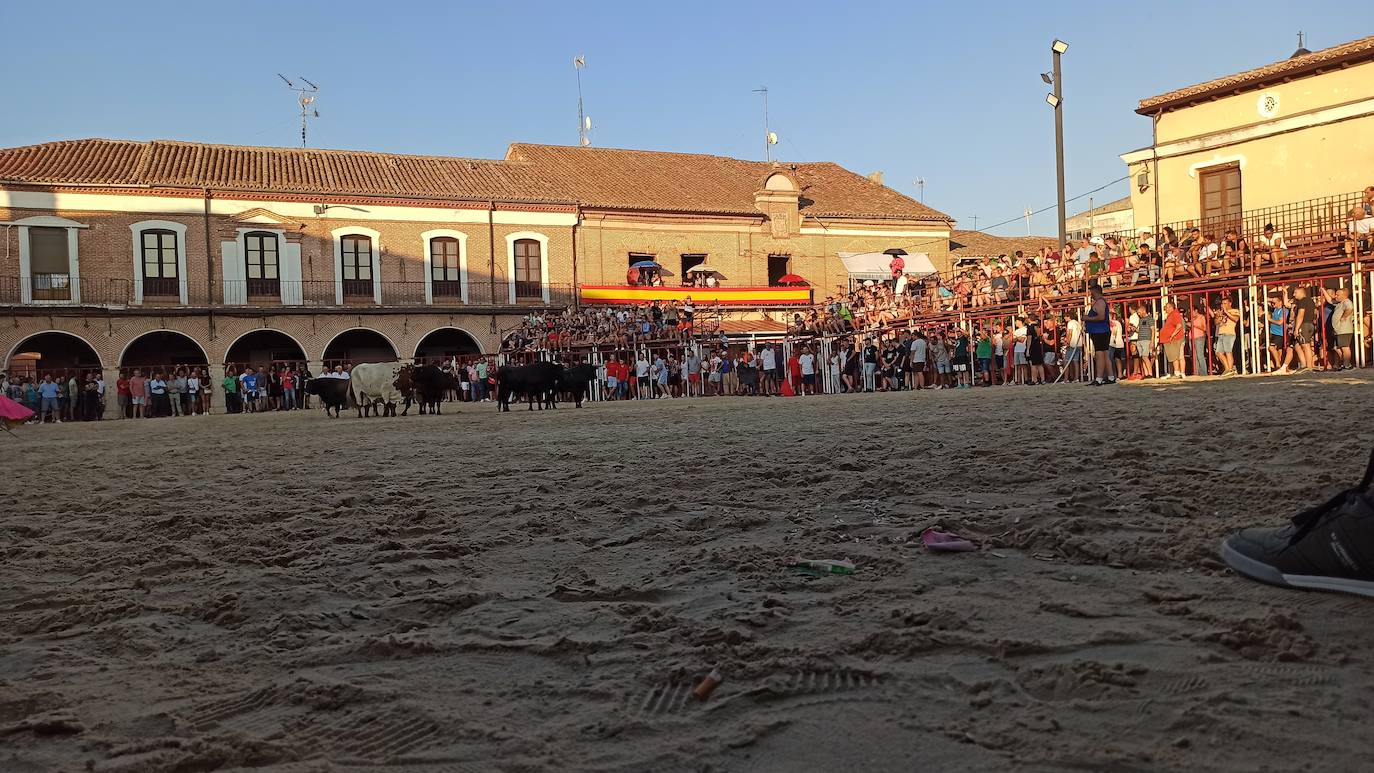 Las imágenes del encierro celebrado en La Seca este domingo, 4 de agosto