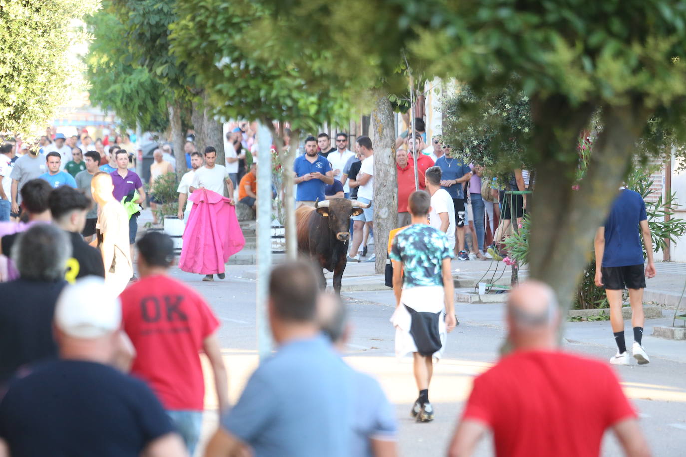 Las imágenes del encierro celebrado en La Seca este domingo, 4 de agosto