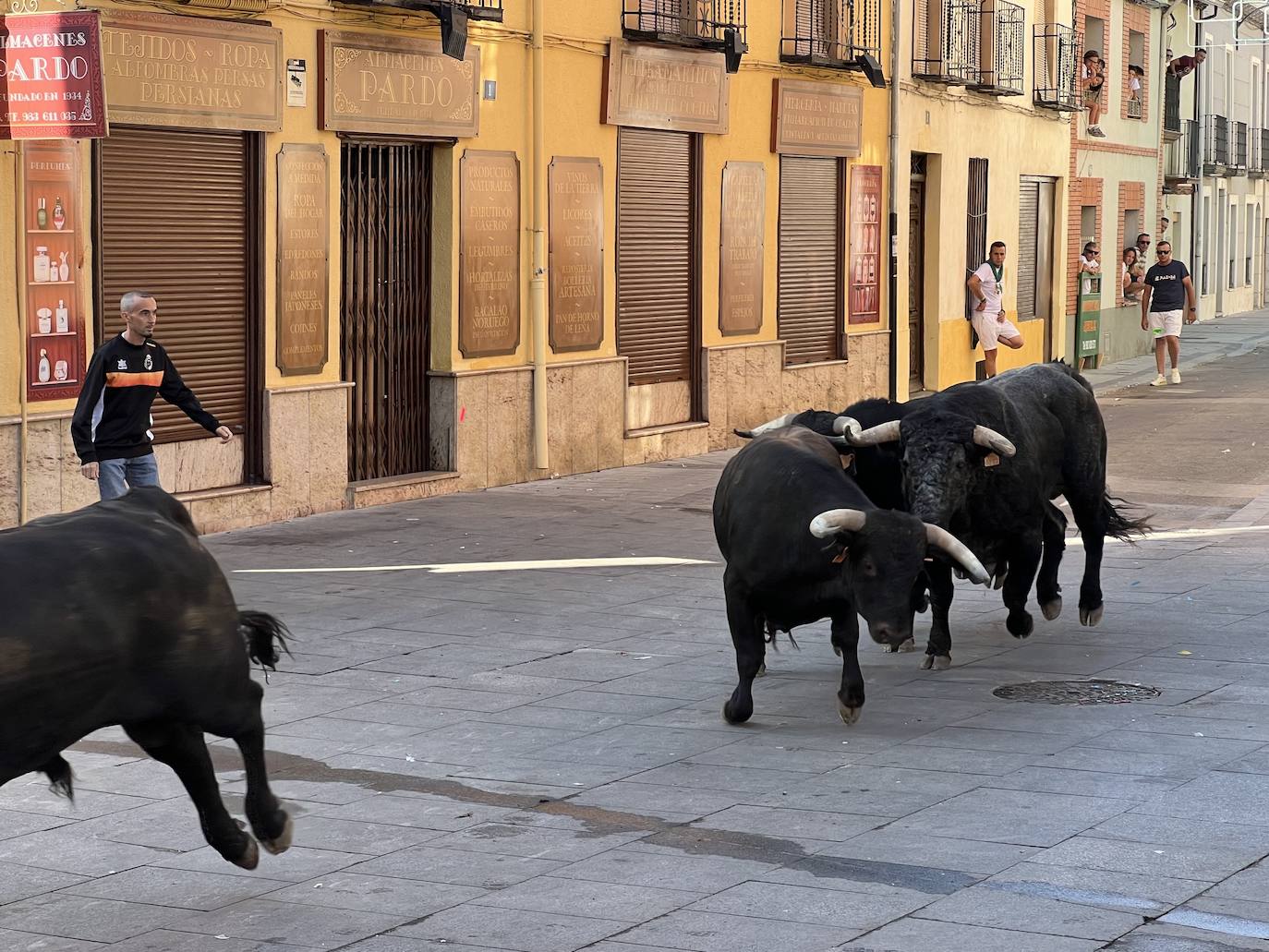 Encierro del domingo por la mañana en las fiestas de Íscar