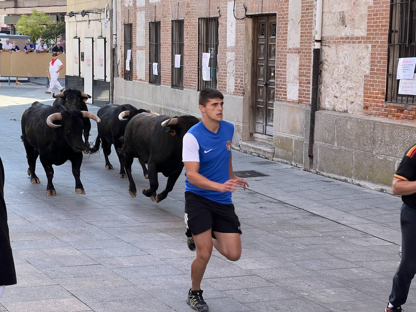 Encierro del domingo por la mañana en las fiestas de Íscar