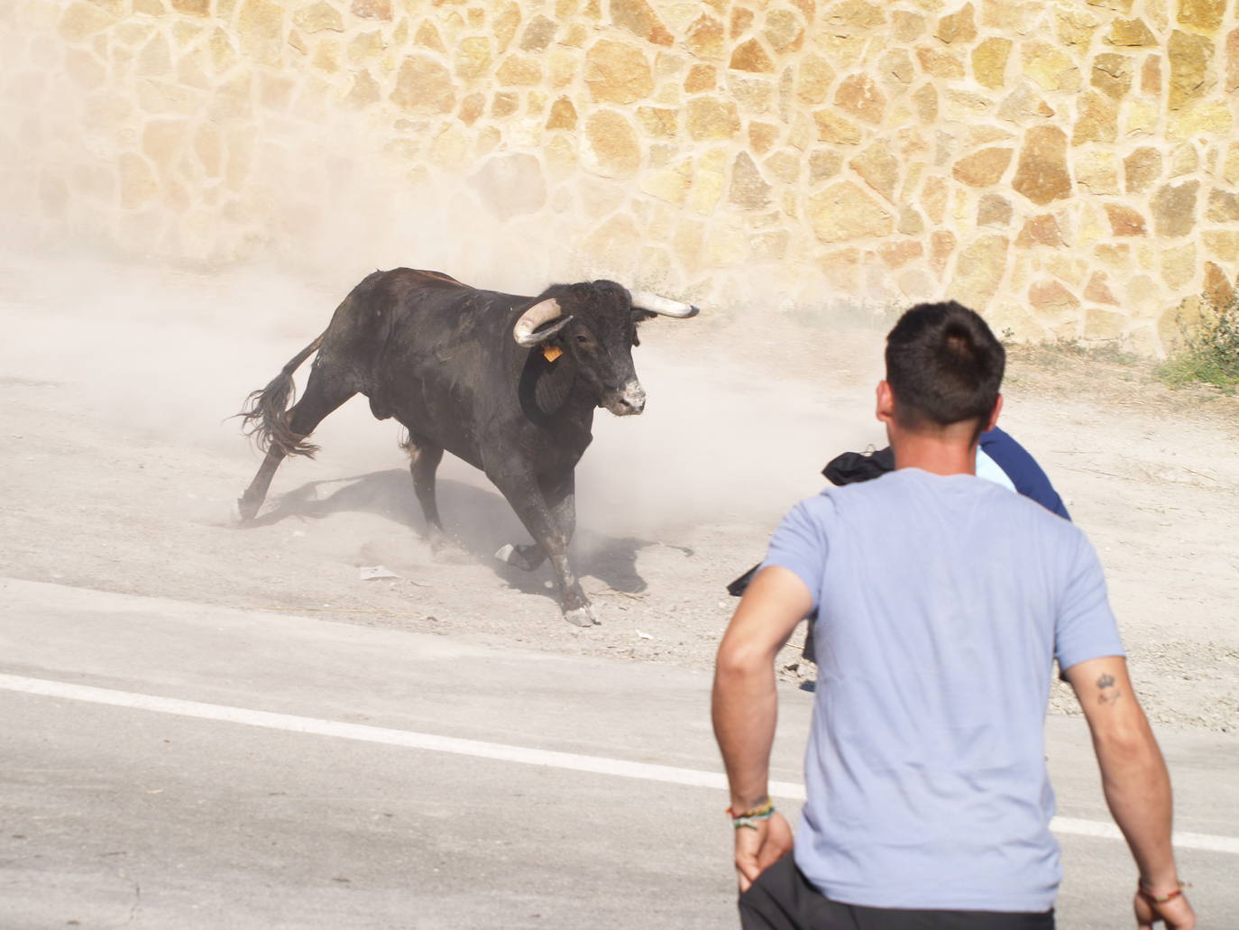 El encierro campero en Íscar, en imágenes